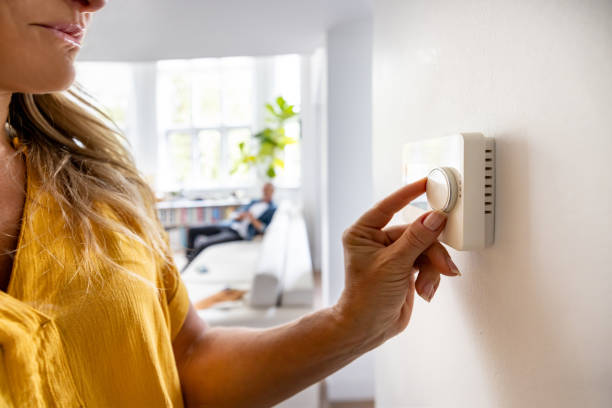 Best Air Filters and Purifiers in Hector, MN