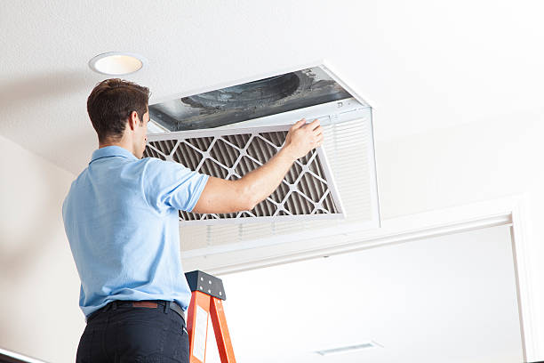 Best Seasonal HVAC Services in Hector, MN