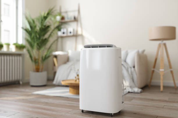 Best Ductless Mini-Split Systems in Hector, MN